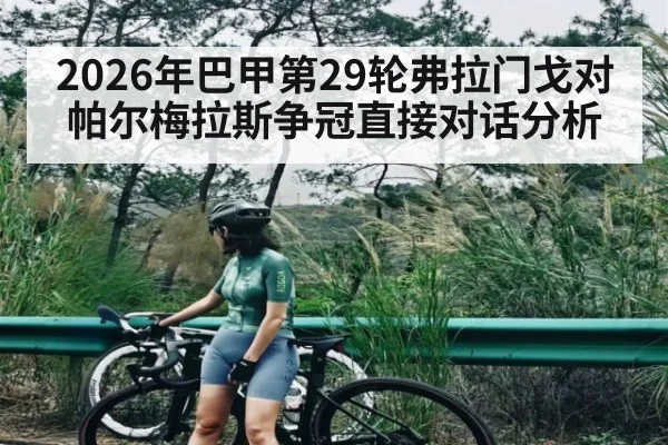 2026年巴甲第29轮弗拉门戈对帕尔梅拉斯争冠直接对话分析